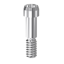 [19.060] DESS CONIC EVO Screw 4.2 on implant uncoated
