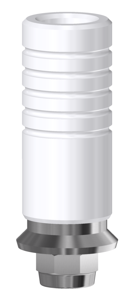 DESS CoCr Base comp. Straumann® Tissue level