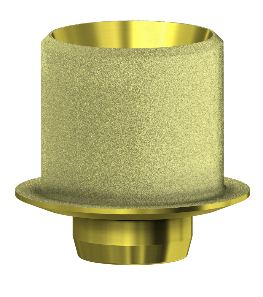 DESS ANGLEBase® - NOBEL REPLACE® SELECT™
