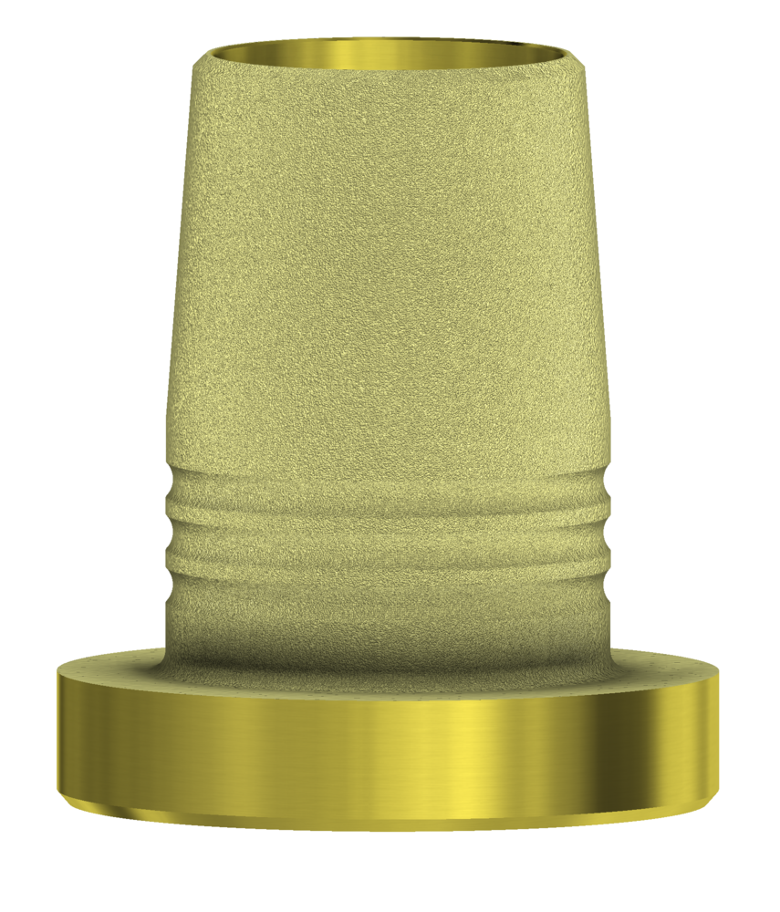 DESS C-Base® comp. with Straumann® Tissue Level & Synocta®