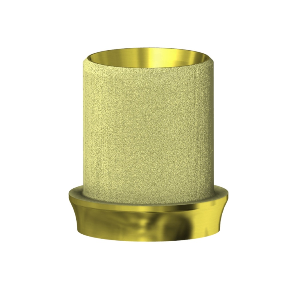 DESS Thinner AngleBase® RB/WB 25° comp. Straumann BLX®