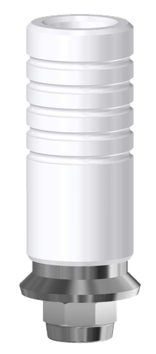 DESS CoCr Base comp. Straumann® Tissue level