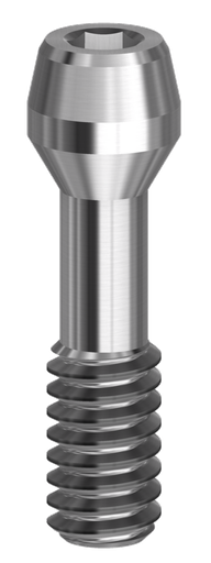 Screw Hex. 1,00 mm comp. Dentsply Ankylos®