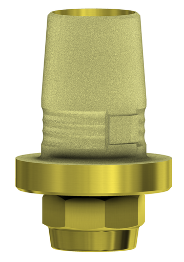 DESS C-Base® comp. with Straumann® Tissue Level & Synocta®