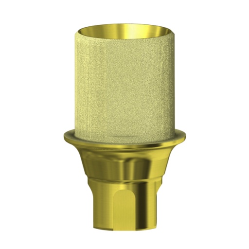 DESS Thinner AngleBase® RB/WB 25° comp. Straumann BLX®