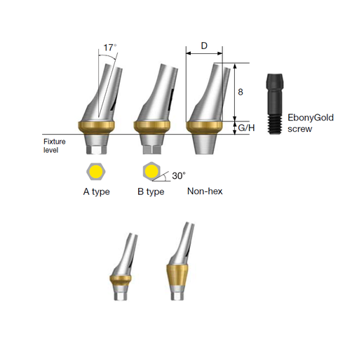 Osstem TS Angled Abutment