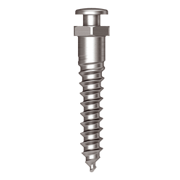 Osstem Oikomisruuvi (Simple Head) Orthodontic Screw