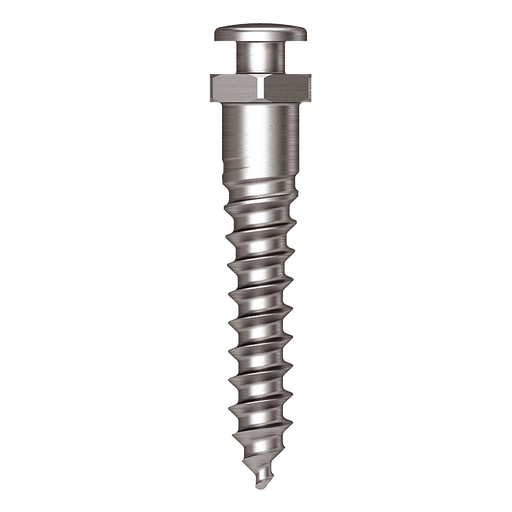 Osstem Oikomisruuvi (Simple Head) Orthodontic Screw