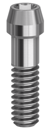 [19.060] DESS CONIC EVO Screw 4.2 on implant uncoated 19.060