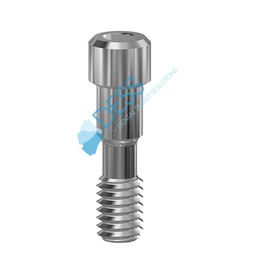 [19.076] DESS INTERNAL CON WP 5.0 Screw hex 1.27mm uncoated