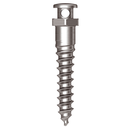 Osstem Oikomisruuvi (Through Hole) Orthodontic Screw