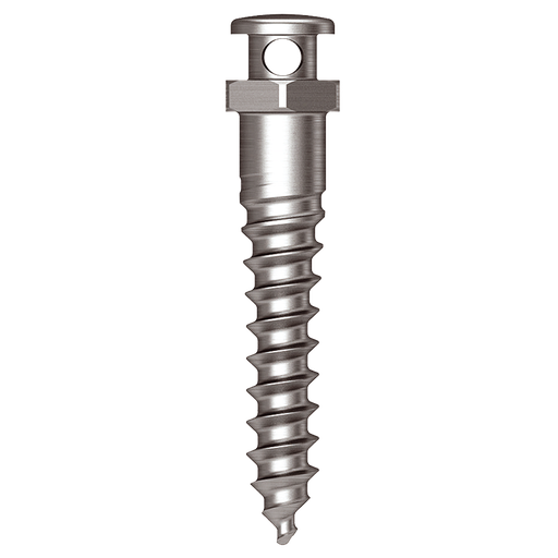 Osstem Oikomisruuvi (Through Hole) Orthodontic Screw